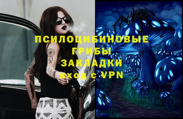 ГАЛЛЮЦИНОГЕННЫЕ ГРИБЫ Алексин