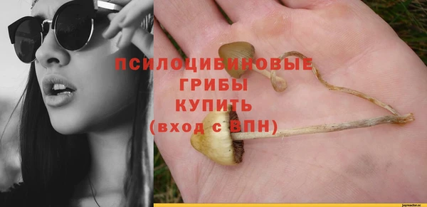 круглые Алзамай