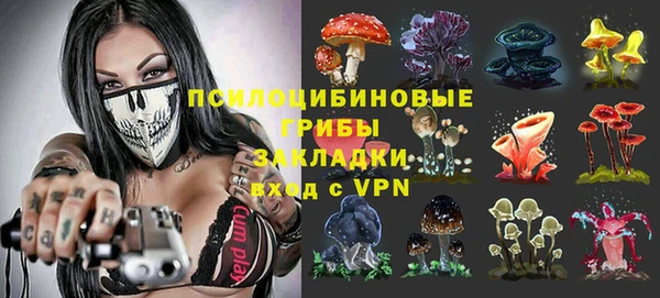 ГАЛЛЮЦИНОГЕННЫЕ ГРИБЫ Алексин