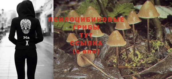 круглые Алзамай