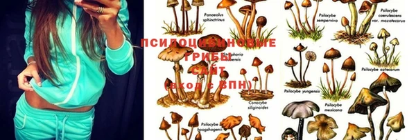 круглые Алзамай