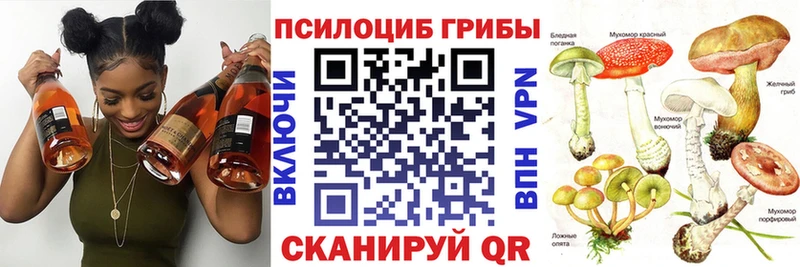 МЕГА Енисейск Галлюциногенные грибы ЛСД
